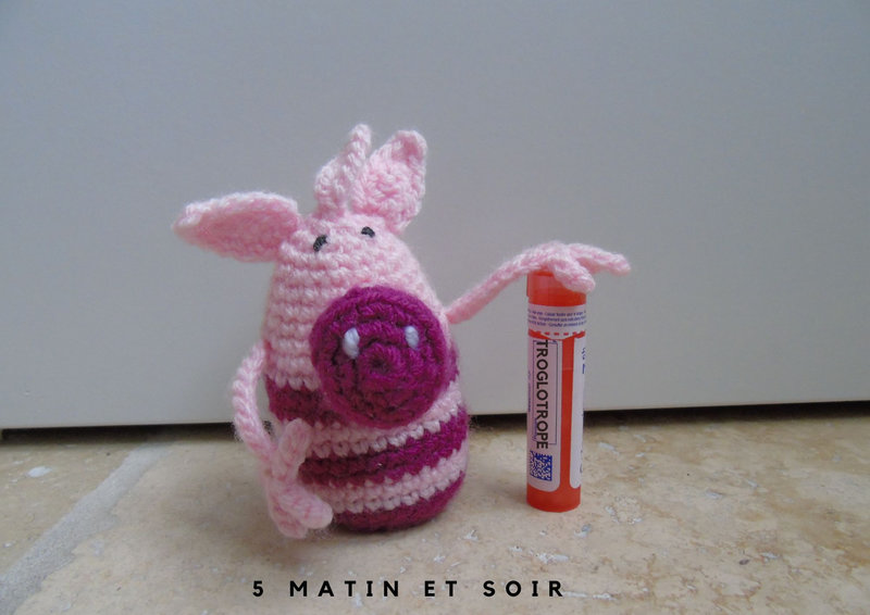 Cochon au crochet