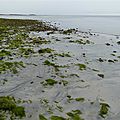 P1180373