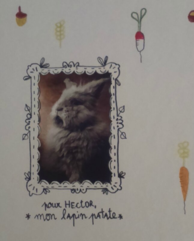 Roussey_Mon lapin patate_2