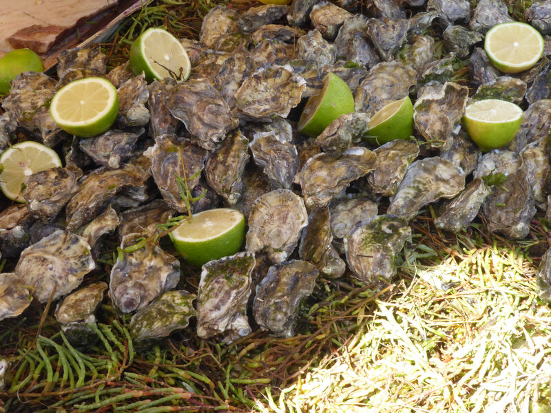 P1040500