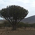 P1130385