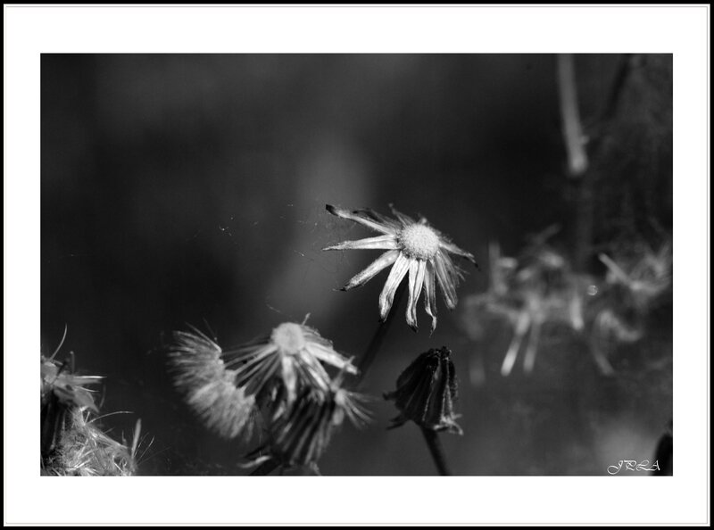 14 05 23 14 05 16 105macro 284 b