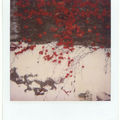 automne