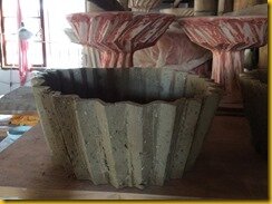 IMG_2982 IMG_2982