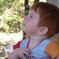 Ethan regarde les feuilles bouger