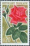 Rose_Rouge
