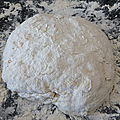 DSCF4466