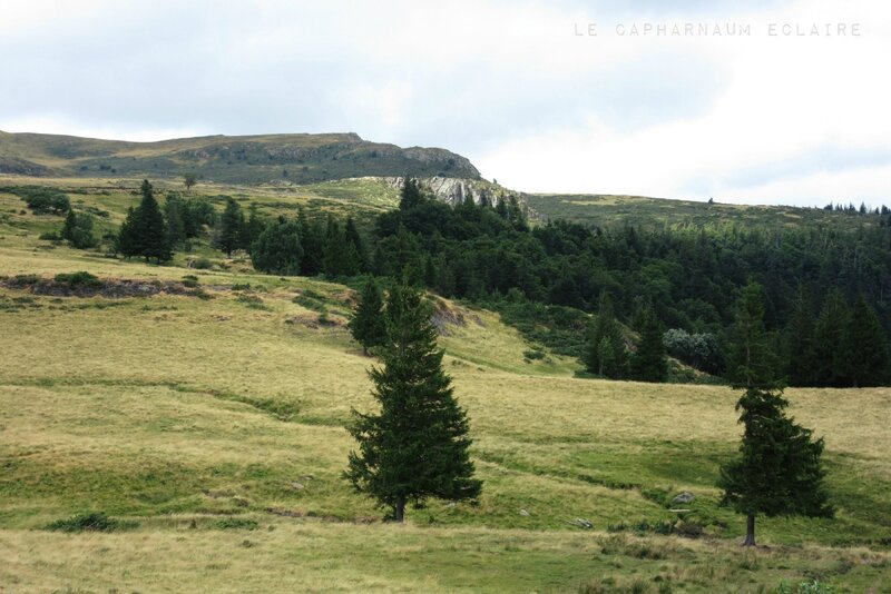 Col du Prat de Bouc 3