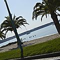 _DSC0341
