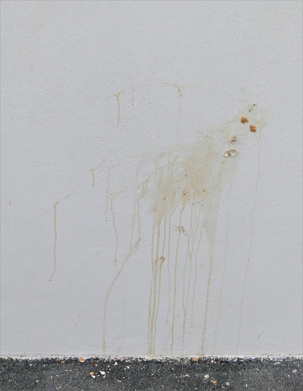 Projection oeuf mur 160223