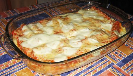 Cannelonis_au_poulet_sauce_poivron_1