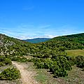 CapNore2019 (15)
