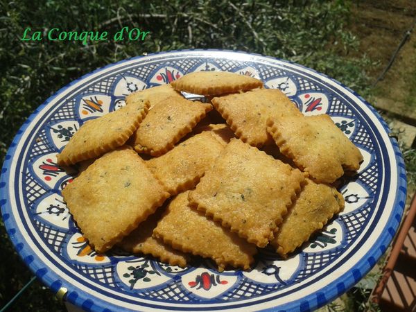 Biscuits apéritifs au Parmesan