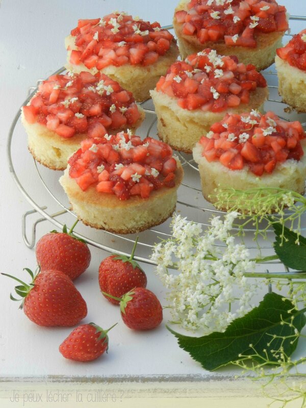 Génoise aux fraises et fleurs de sureau2