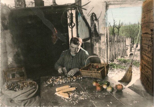 Carte-postale-Perigourdine-cernant-les-noix