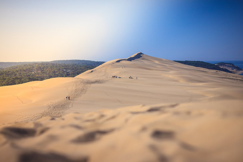 Dune