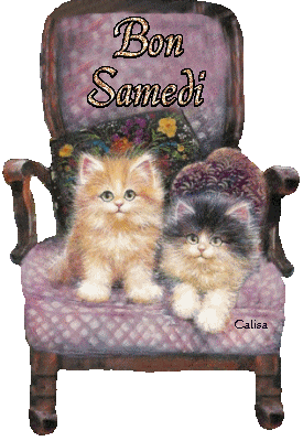 6 b s fauteuil chatsBPat19