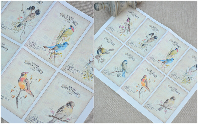 oiseaux par 8