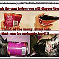 [grif'enbref] danger des boîtes de conserve pour les chats et… les hérissons.