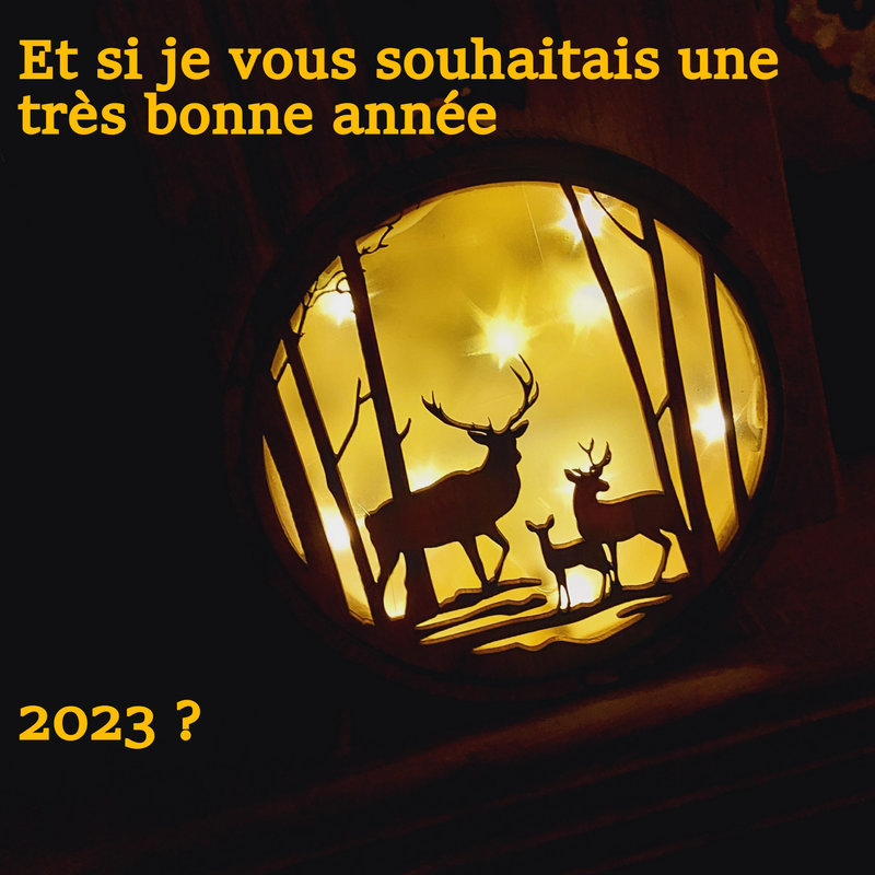 carte de veoux 2023 (12)