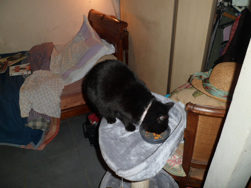 Photo 517