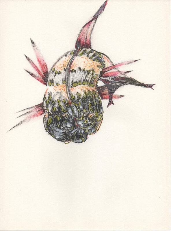 2016, Petit Poisson