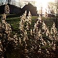 _IGP9391 (2)