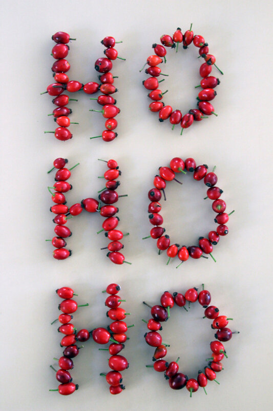 diy_ho_ho_ho_cynorhodon