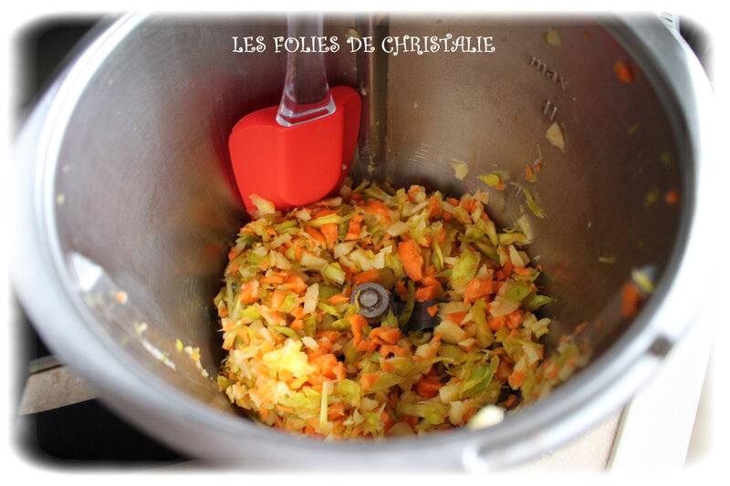 Samoussas légumes 2