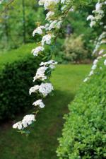 Les Jardins Danglique Home Facebook Les Jardins Danglique Home Facebook
