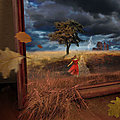 Rose madder de stephen king