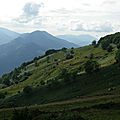 larrech
