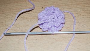 fleur_040