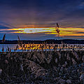 _RZ93799-1