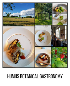 Humus Botanical Gastronomy