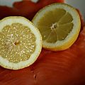 07-Fruit frais citron sur le saumon