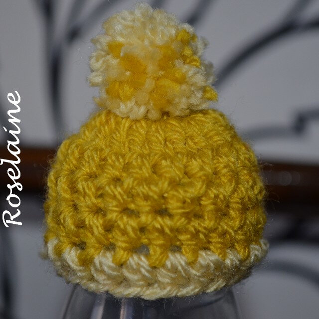 Roselaine Petits bonnets 2020 13