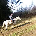 Balade à cheval dans la forêt P1080199