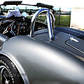 ACcobrashelby427_Tasunkaphotos2018_05