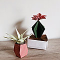 Origami - succulentes en pot