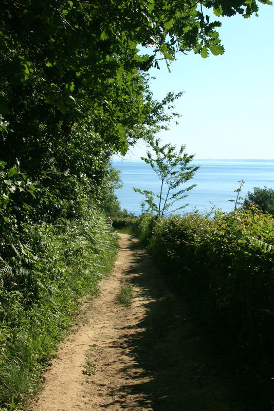 Chemin_Abadia_006