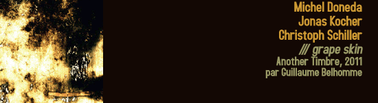 doneda_kocher_schiller_grape_skin
