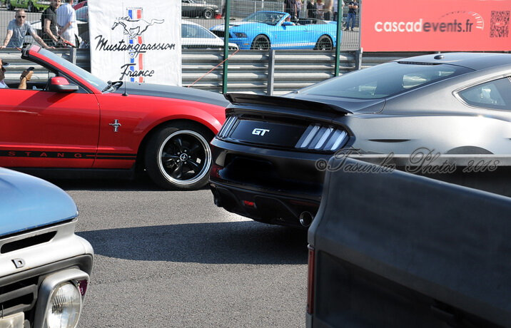 Mustangnats_Tasunkaphotos2018_23