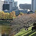 Tokyo le méli mélo