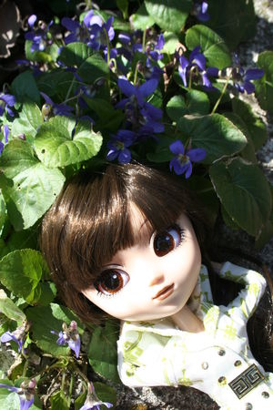 pullip_ala
