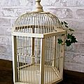 cage oiseau blanche
