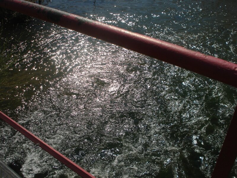 DSC06454