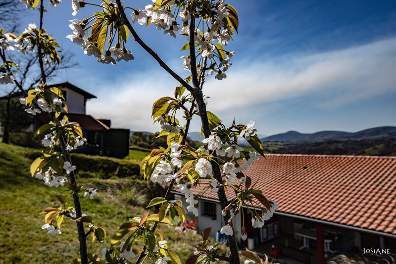 22032019-_MG_5056