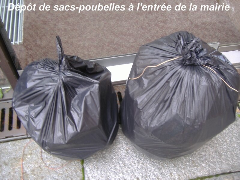 DSCF0673