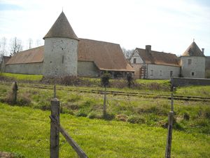 DSCN0590